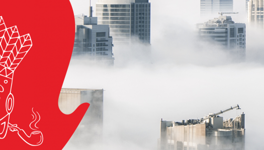Jak smog może wpłynąć na Twoją kampanię marketingową?