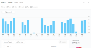Toggl - raport